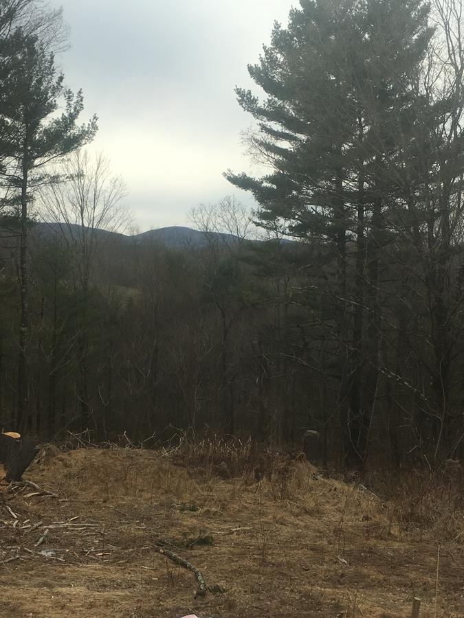 Cozy Cabin In The Catskills East Durham 외부 사진